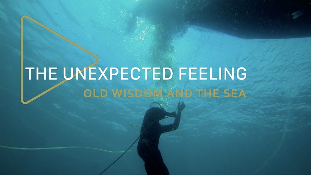 The Unexpected Feeling Episode 8: Old Wisdom And The Sea