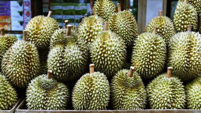 Thailand’s durian producers chase sweet smell of success