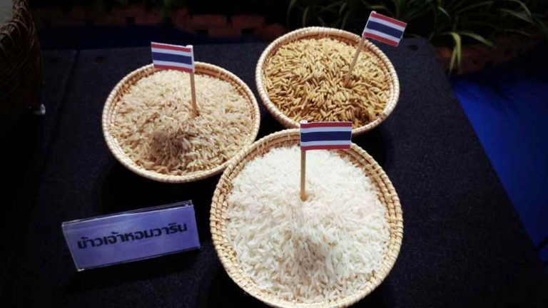 Thailand Sets Rice Export Target at 7.5 million Tons For 2023
