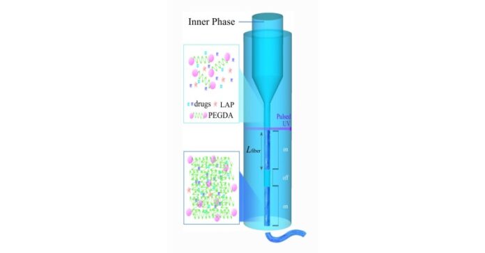 HKU Biomedical Engineering team develops a novel injectable hydrogel that can revolutionise regenerative medicine