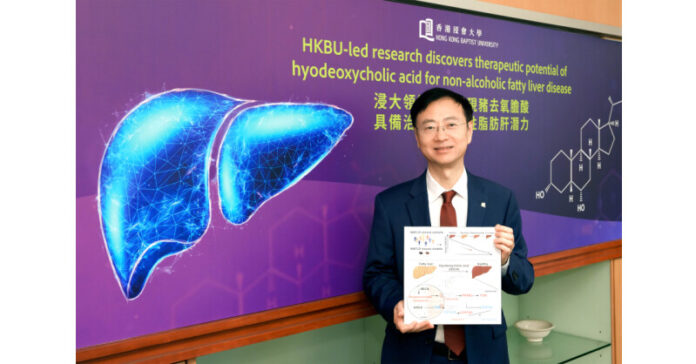 HKBU-led research discovers therapeutic potential of hyodeoxycholic acid for non-alcoholic fatty liver disease