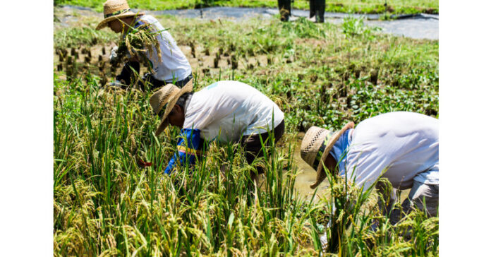 The Sustainable Restaurant Association Announce #EatForTomorrow Campaign