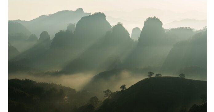 A sip of tea, a discovery of China