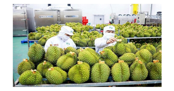 President Xi Jinping’s visit to Vietnam: Catalyzing momentum for Vietnam-China agricultural, forestry, and fishery trade relations