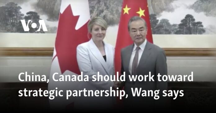 China, Canada should work toward strategic partnership, Wang says