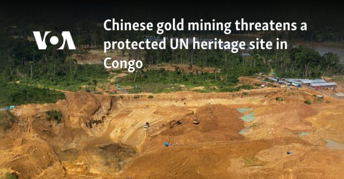 Chinese gold mining threatens a protected UN heritage site in Congo