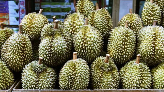 Thailand Business News